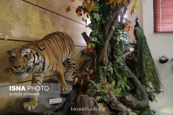 بازگشایی موزه دارآباد
