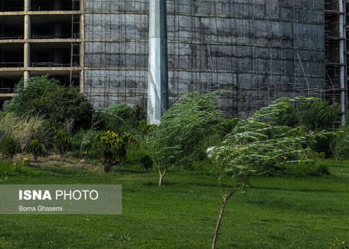 وزش باد نسبتا شدید در تهران