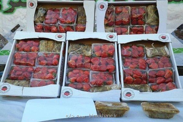 از کشف۱۰ کیلوگرم تریاک در بار توت فرنگی تا دستگیری سارق شرق تهران