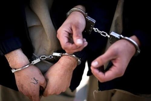 ۳۵ سارق در شهرستان سمنان دستگیر شدند