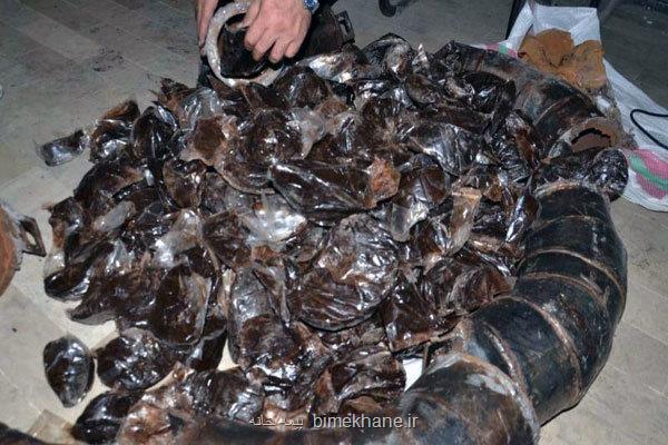 بلع 117 بسته تریاک توسط یک سوداگر مرگ در رباط کریم