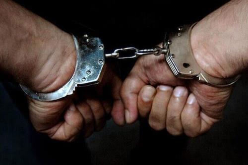 رمز گشایی از 35 فقره سرقت