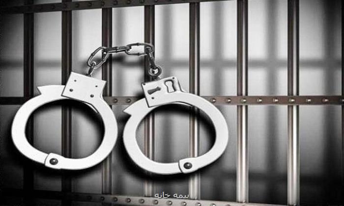 دستگیری عامل ناامنی در مهرآباد