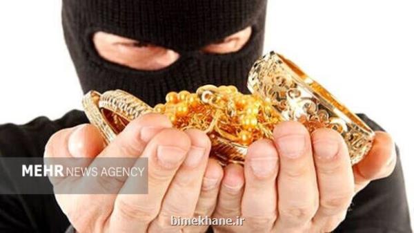 نظافتچی منزل سارق از آب درآمد