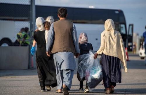 52 نفر از اتباع بدون مجوز در دامغان دستگیر شدند