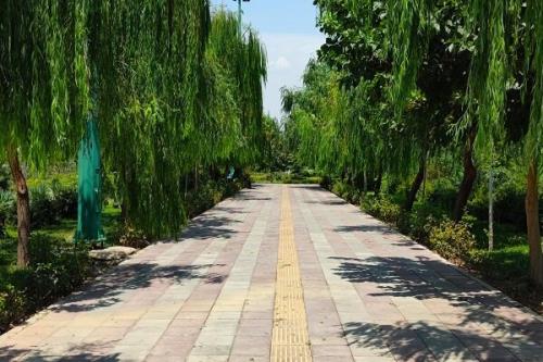 آغاز اجرای طرح پاکسازی پارک ها، بوستان ها و تفرجگاه ها از فردا