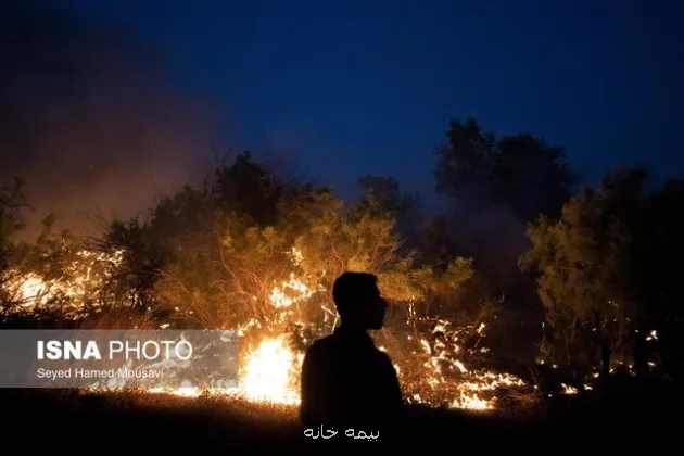 آتش در جنگل های جاده چالوس