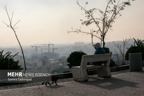 تمدید طرح زوج و فرد از در منازل و منع آمد و شد کامیون ها در تهران