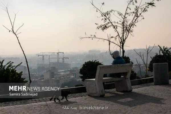 تمدید طرح زوج و فرد از در منازل و منع آمد و شد کامیون ها در تهران