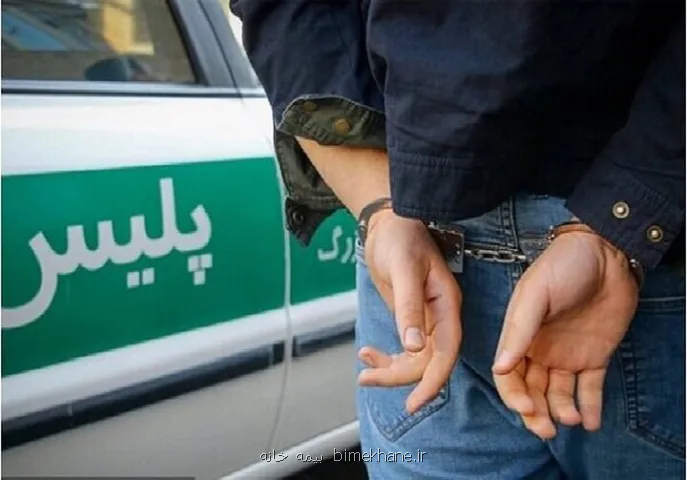 سرقت از قطعات ۲۳ و ۲۴ مسکن مهر سمنان ۲ متهم دستگیر شدند
