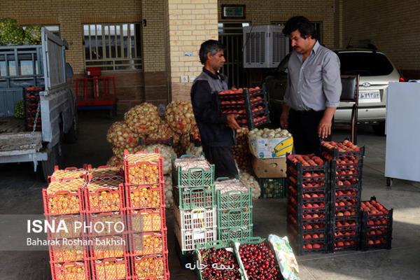 میدان میوه و تره بار اراك متولی ندارد
