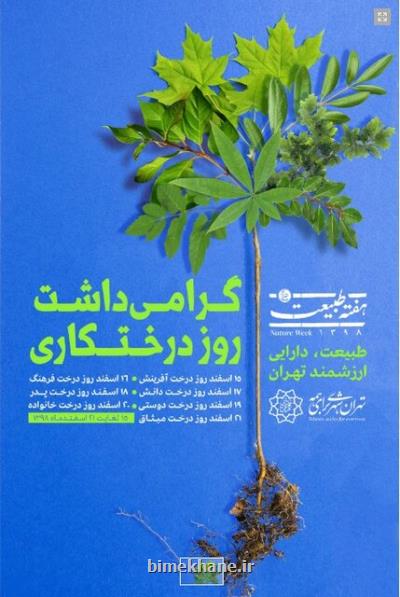 توزیع 15 هزار نهال مجانی در جنوب شهر همزمان با هفته درختكاری