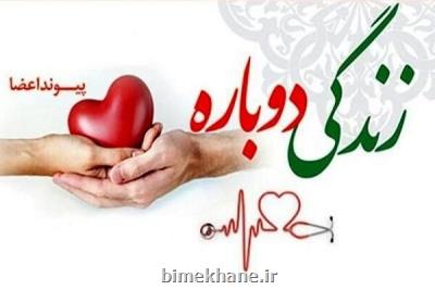 اهدای عضو پلیس جوان در شیراز جان چند بیمار را نجات داد